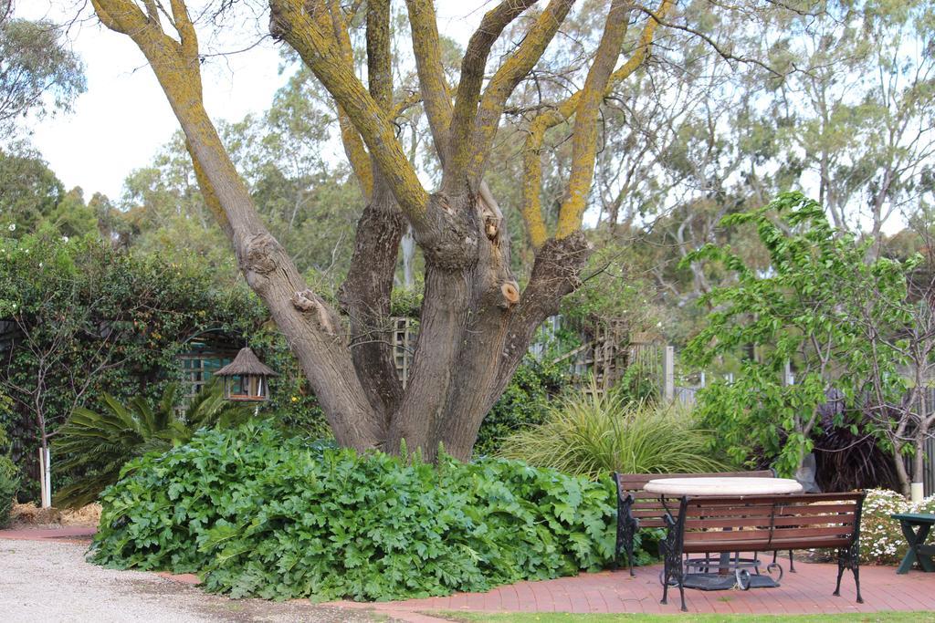 Barossa House Tanunda Quarto foto