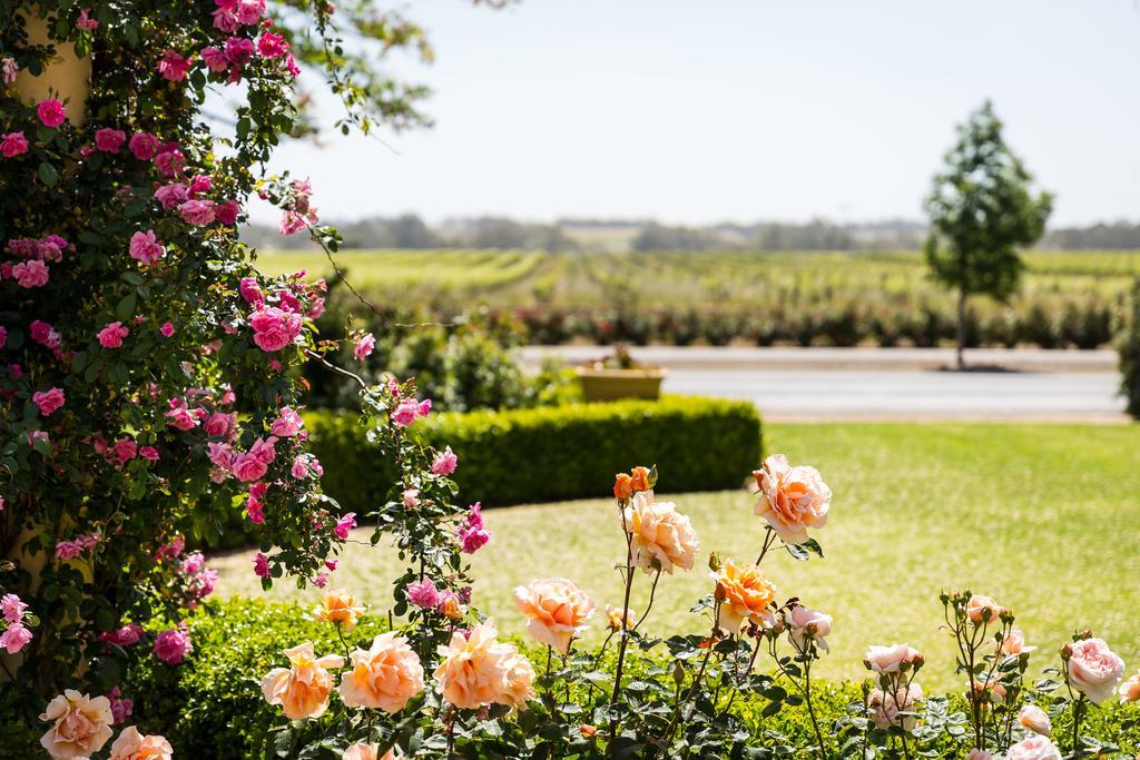 Barossa House Tanunda Exterior foto