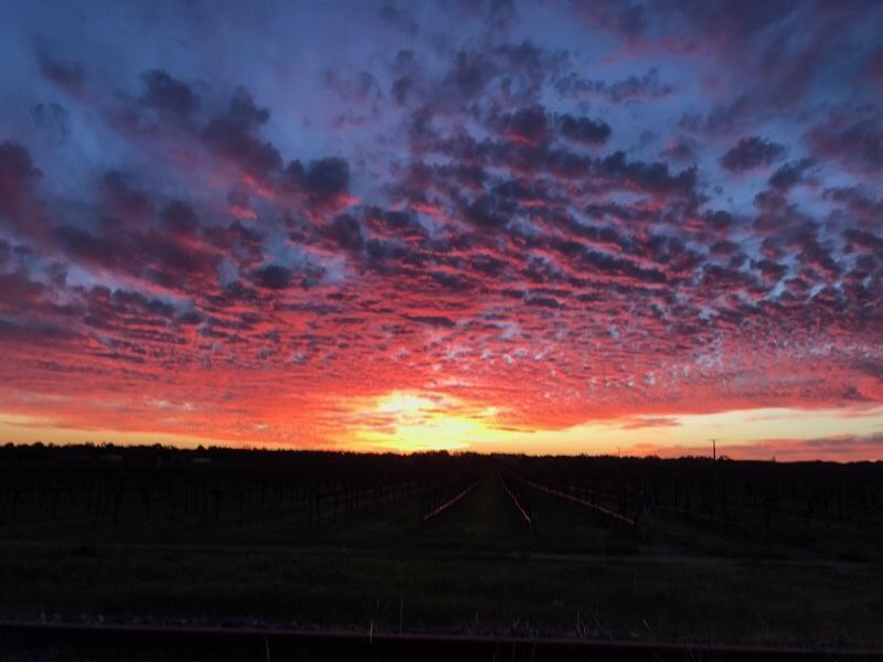 Barossa House Tanunda Exterior foto