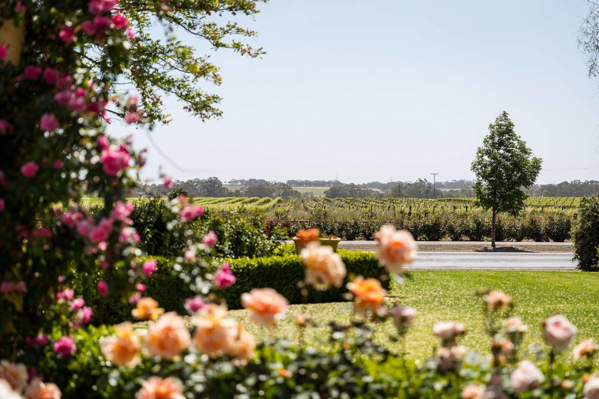 Barossa House Tanunda Exterior foto